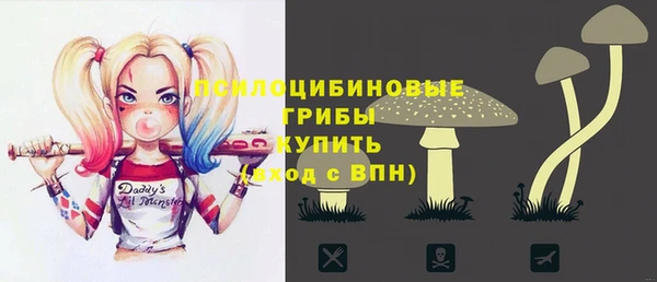 СК Белокуриха