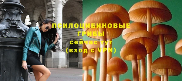СК Белокуриха
