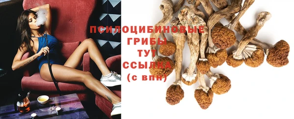 СК Белокуриха